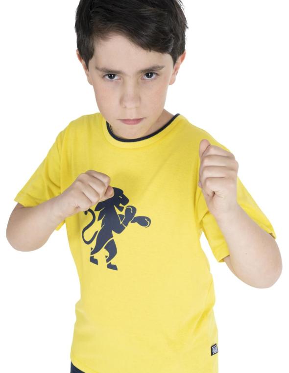 Boy t-shirt short sleeves...